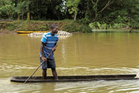 La canoa desempe�a diversas funciones en la vida de las comunidades negras. Trasporte de materiales.