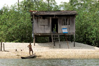 La canoa desempe�a diversas funciones en la vida de las comunidades negras. Acarreo de conchas.