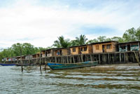 Poblaci�n palaf�tica en los esteros del bajo Anchicay�.