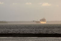 El desarrollo social y econ&oacute;mico puede lograrse sin afectar la integridad de los procesos que garantizan la conservaci&oacute;n de la biodiversidad.  