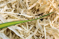 Las comunidades tradicionales han sabido utilizar los recursos que ofrece el medio, como la fibra de la palma w&eacute;rregue, la madera y otros, sin afectar la biodiversidad de la regi&oacute;n.