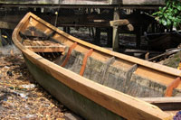 Las comunidades tradicionales han sabido utilizar los recursos que ofrece el medio, como la fibra de la palma w&eacute;rregue, la madera y otros, sin afectar la biodiversidad de la regi&oacute;n.