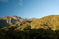 La construcci&oacute;n de carreteras y la consecuente colonizaci&oacute;n humana pueden causar la fragmentaci&oacute;n de ecosistemas estrat&eacute;gicos a&uacute;n bien conservados.