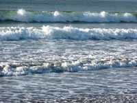 Como consecuencia del cambio clim&aacute;tico global, el nivel del mar est&aacute; experimentando un ascenso que causar&aacute; el retroceso de la l&iacute;nea de costa y de los manglares.