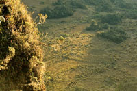 El calentamiento de la atm&oacute;sfera va a causar la reducci&oacute;n de las &aacute;reas de p&aacute;ramo.