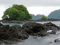 En las &aacute;reas protegidas a&uacute;n se mantienen algunos de los ecosistemas representativos del Choc&oacute; Biogeogr&aacute;fico.