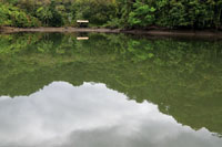 &laquo;Podemos vivir, podemos seguir sosteniendo
el equilibrio del mundo si rehacemos nuestros planes de vida, si tocamos con las manos
a nuestros Abuelos Estrellas, si preparamos el coraz&oacute;n&raquo;. Ind&iacute;gena Tule.