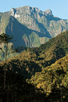 Parque Nacional Natural Tatam�. El Choc� Biogeogr�fico se extiende hasta las altas cumbres de la cordillera Occidental.