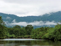 Las altas temperaturas y la elevada humedad del aire se han mantenido casi constantes desde hace 3.000 a�os en las zonas bajas del Choc� Biogeogr�fico.