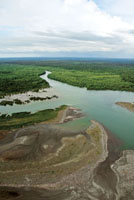 La din�mica fluvio�marina ha dado origen a amplias planicies deltaicas en las costas de la mitad sur del Choc� Biogeogr�fico.