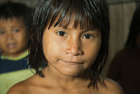 Varias de las etnias abor�genes del Choc� Biogeogr�fico, como los Embera y los Waunana, son descendientes de pueblos ind�genas de la cuenca amaz�nica.