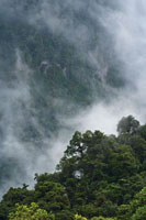 A lo largo de la vertiente de la cordillera Occidental hacia el Pac�fico, predomina la alta humedad, desde las c�lidas costas hasta las fr�as cumbres.