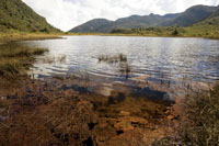 Laguna en el p�ramo de la cordillera Occidental, Parque Nacional Natural Tatam�.