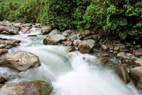 Gran cantidad de quebradas y r�os torrentosos descienden por los flancos de la cordillera Occidental hacia el Pac�fico.