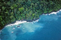 Litoral de roca bas�ltica en la Isla Gorgona.