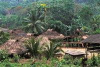 Tiosirilio, aldea ind�gena en el delta del r�o San Juan.