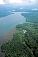 Peque�os poblados de comunidades negras en las zonas ribere�as de los estuarios aleda�as a los manglares.