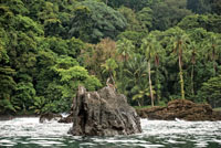 La consistencia del sustrato y la topograf�a determinan la forma y el tipo de litoral.