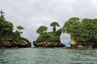 La consistencia del sustrato y la topograf�a determinan la forma y el tipo de litoral.