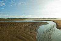 La consistencia del sustrato y la topograf�a determinan la forma y el tipo de litoral.