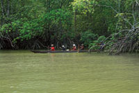Las piang�eras se desplazan a trav�s de los ca�os del estuario del r�o Patianga entonando canciones tradicionales