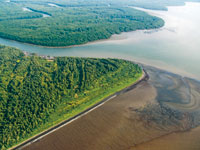 Las zonas deltaicas ofrecen abundantes recursos pesqueros y de agua potable, as� como v�as de comunicaci�n.