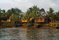 T�pico caser�o ribere�o de las llanuras deltaicas del Pac�fico colombiano