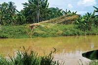 La atarraya, el trasmallo, el boliche y el chinchorro son las artes de pesca m�s utilizadas en las lagunas costeras y en los estuarios de Colombia.
