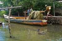 La atarraya, el trasmallo, el boliche y el chinchorro son las artes de pesca m�s utilizadas en las lagunas costeras y en los estuarios de Colombia.