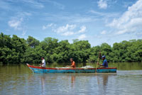 La atarraya, el trasmallo, el boliche y el chinchorro son las artes de pesca m�s utilizadas en las lagunas costeras y en los estuarios de Colombia.