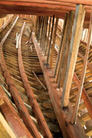 La madera que se extrae de los bosques inundados de las llanuras deltaicas del Pac�fico colombiano es utilizada en la construcci�n artesanal de embarcaciones.