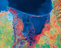Imagen de sat�lite del plano deltaico del r�o Magdalena con el complejo laguno-estuarino de la Ci�naga Grande de Santa Marta; el color rojo oscuro corresponde a �reas cubiertas por manglares.