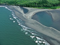 Gran parte de las costas del Pac�fico colombiano presentan paisajes caracter�sticos de las formaciones deltaicas.