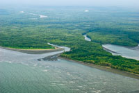 En la mitad sur del Pac�fico colombiano predominan las llanuras aluviales y los esteros.