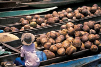 En el delta del r�o San Juan conviven arm�nicamente con el entorno natural, comunidades ind�genas y negras.