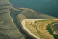 Acumulaci�n de sedimentos en el r�o San Juan.