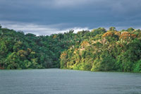 Las aguas y bosques que rodean la Bah�a de M�laga representan valores naturales que deben ser conservados.