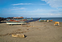 Escena t�pica en la playa de una aldea costera.
