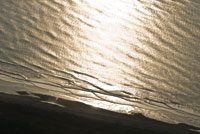 La interfase oc�ano-tierra es una de las zonas m�s afectadas por las actividades humanas y el cambio clim�tico.