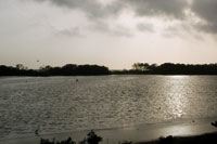 Espiga litoral que separa las aguas de la Ci�naga Grande de Santa Marta del mar abierto.