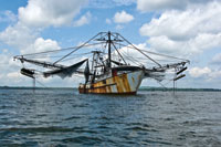 La industria pesquera mundial dependiente de los recursos estuarinos es uno de los sectores que se ver� afectado por el cambio clim�tico global.