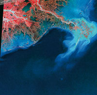 Como lo muestran estas im�genes satelitales, tomadas en 1976 y 2001, la morfolog�a del delta del r�o Mississippi experiment� cambios significativos durante las tres �ltimas d�cadas.
