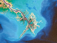 Como lo muestran estas im�genes satelitales, tomadas en 1976 y 2001, la morfolog�a del delta del r�o Mississippi experiment� cambios significativos durante las tres �ltimas d�cadas.