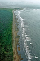 Cuando rompen las olas, su energ�a produce la llamada corriente de deriva litoral, en sentido paralelo a la l�nea de costa.