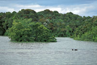 Estuarios de bah�a M�laga en el oc�ano Pac�fico.