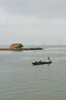 Vivienda palaf�tica en la Ci�naga Grande de Santa Marta