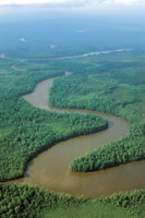 Delta del r�o Sanquianga.