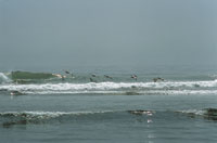 En �poca de fuertes vientos, las playas deltaicas son erosionadas por el oleaje