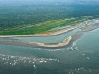La confluencia de tierra, mar y agua dulce propicia la formaci�n de h�bitats para gran variedad de plantas y animales.
