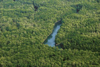 Los manglares alcanzan un gran desarrollo y ocupan amplias extensiones en la parte baja de las llanuras deltaicas.